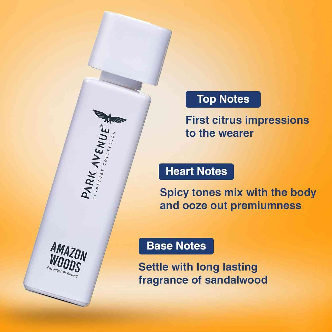 Park Avenue Voyage Corsica Cool perfume bottle and packaging on a white background